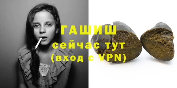 ешки Бородино