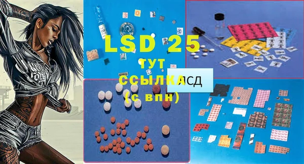 ешки Бородино