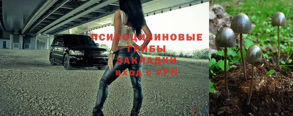 ешки Бородино