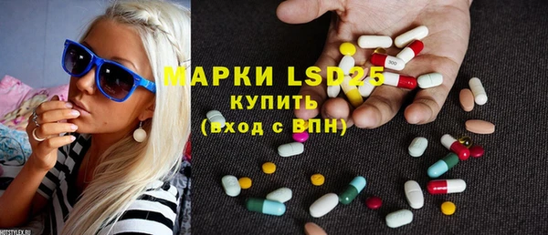 ешки Бородино