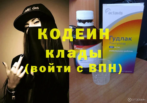 ешки Бородино