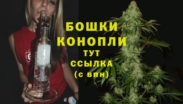 ешки Бородино