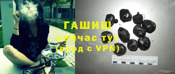 ешки Бородино